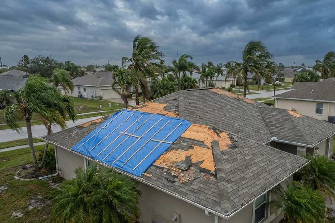 Suburban Florida neighborhood with palms and a tarped, storm-damaged roof