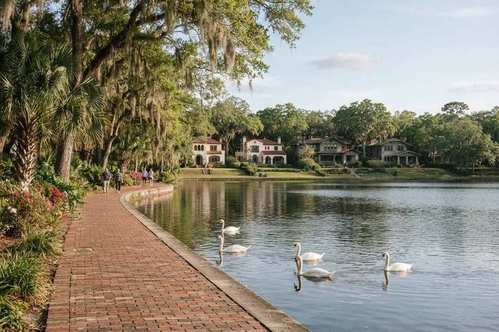 Swans on a small urban lake with historic homes in Lakeland