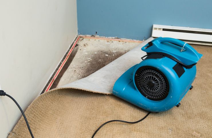 Water Damage Restoration in Deerfield Beach, FL – Trusted Local Experts